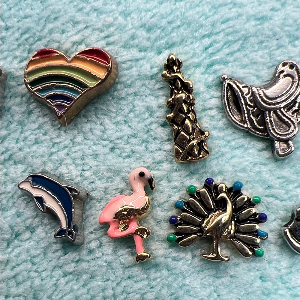Floating Locket Charms - Picture 6 of 7